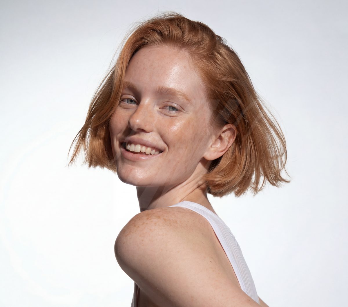 The model — profile